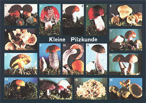 Ansichtskarte