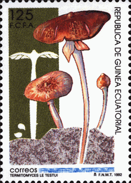 Briefmarke