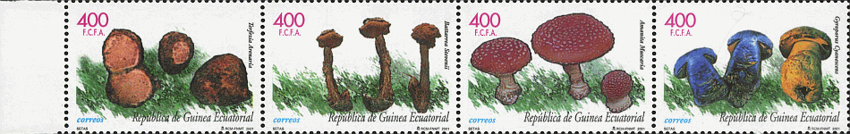 Zusammendruck