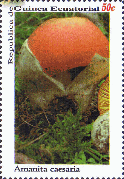 Briefmarke