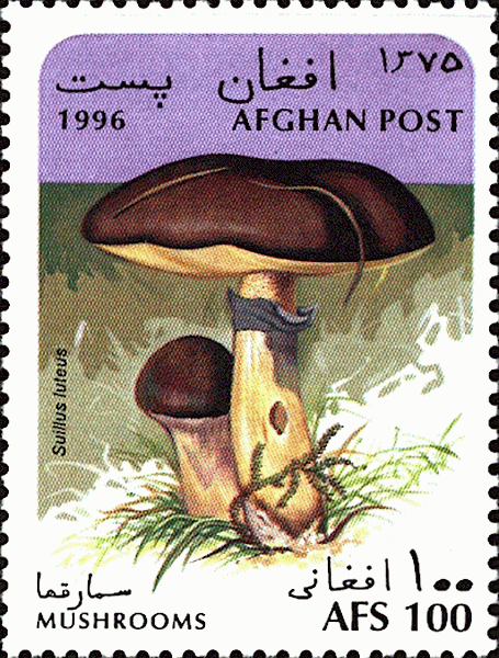 Briefmarke