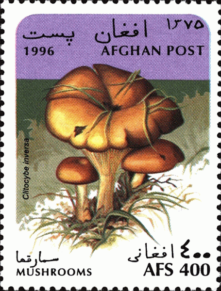 Briefmarke