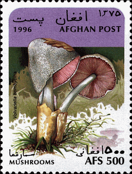 Briefmarke