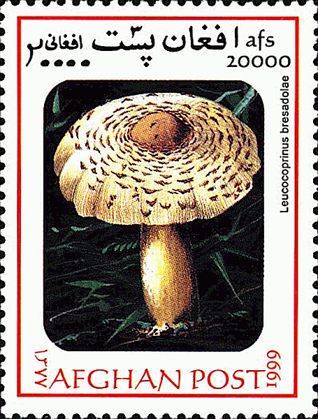 Briefmarke
