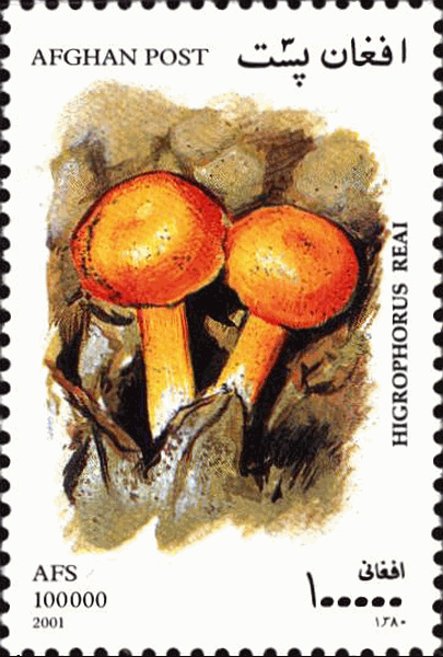 Briefmarke