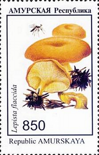 Briefmarke