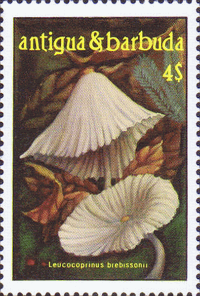 Briefmarke