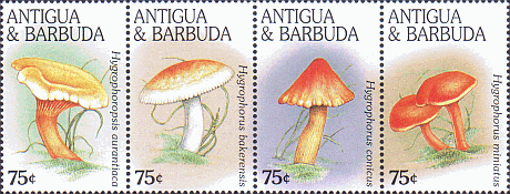 Zusammendruck
