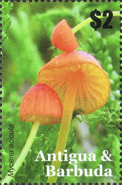 Briefmarke