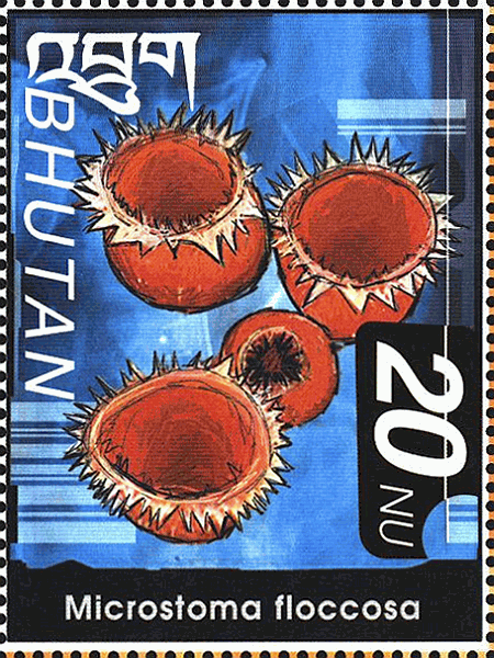 Briefmarke