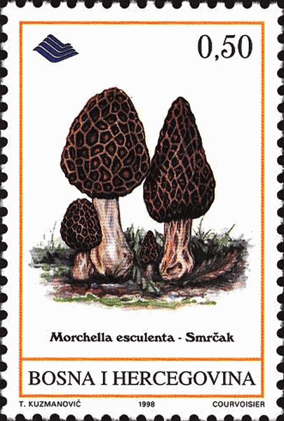 Briefmarke