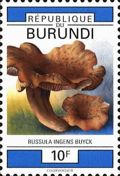 Briefmarke