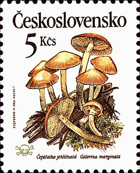 Briefmarke