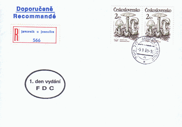 Ersttagsbrief