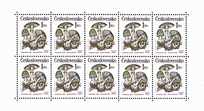 Kleinbogen