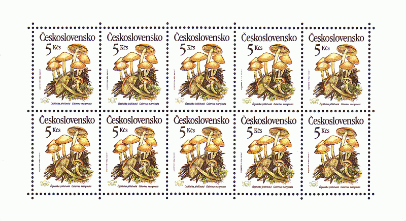 Kleinbogen