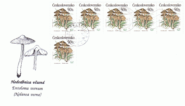 Sonderbriefumschlag