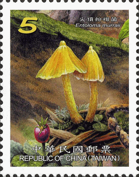 Briefmarke
