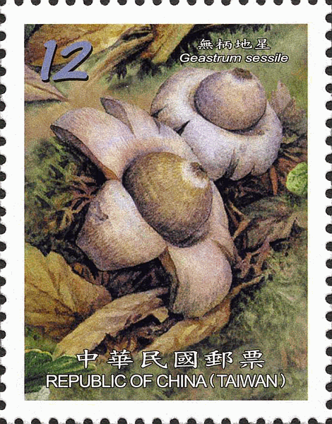 Briefmarke