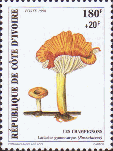 Briefmarke