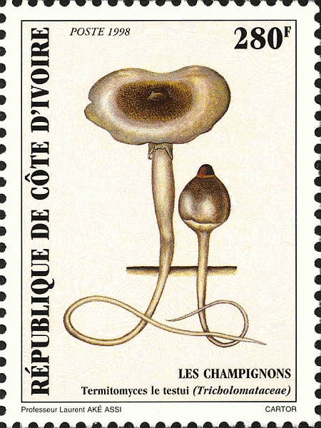 Briefmarke