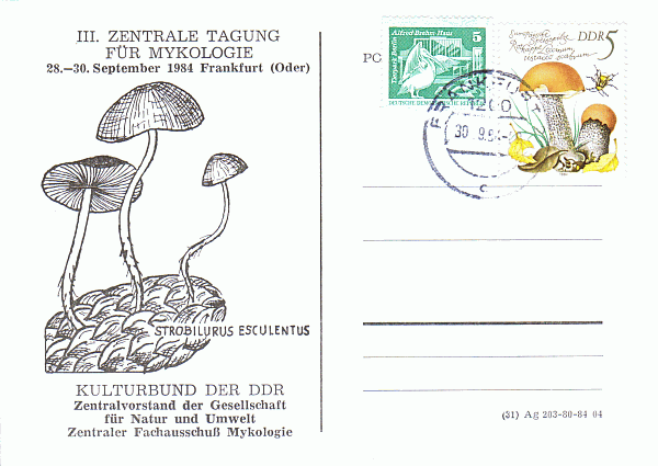 Sonderpostkarte