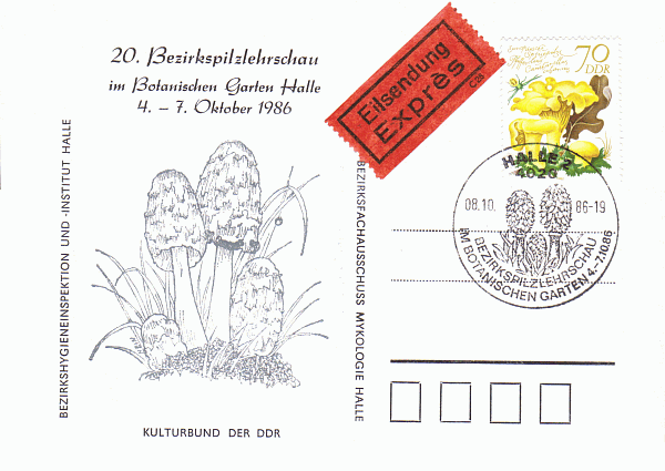 Sonderbriefumschlag