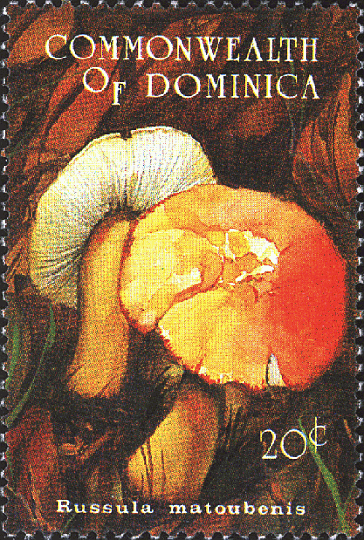 Briefmarke