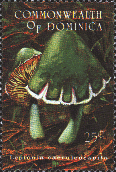 Briefmarke
