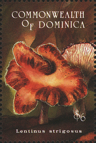 Briefmarke