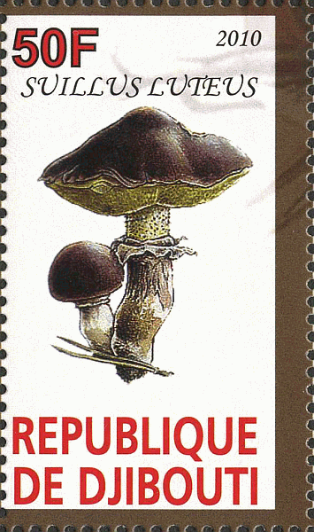 Briefmarke