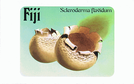 Souvenirklappkarte