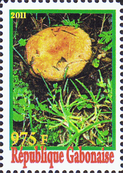 Briefmarke
