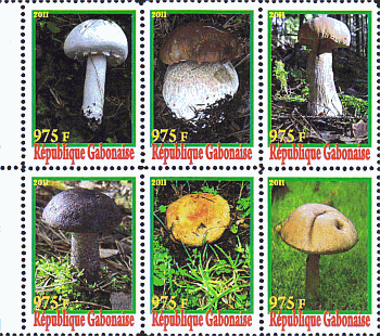 Zusammendruck