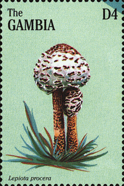 Briefmarke