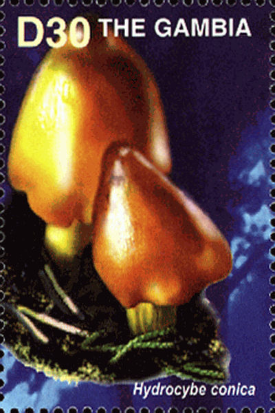 Briefmarke