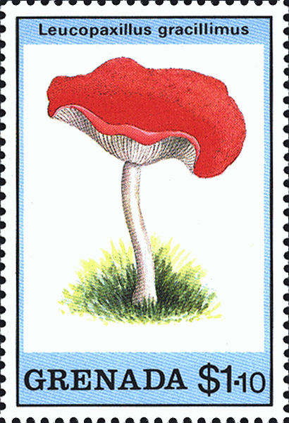Briefmarke