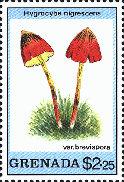 Briefmarke