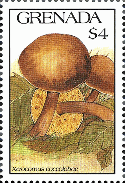 Briefmarke