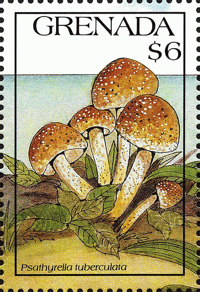 Briefmarke