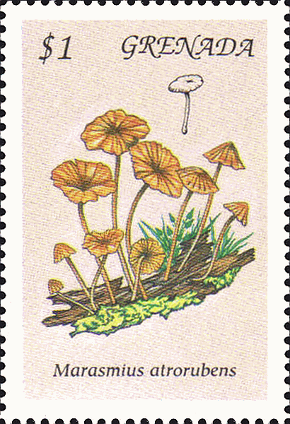 Briefmarke