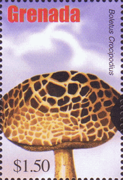 Briefmarke