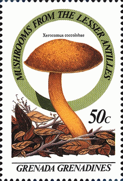Briefmarke