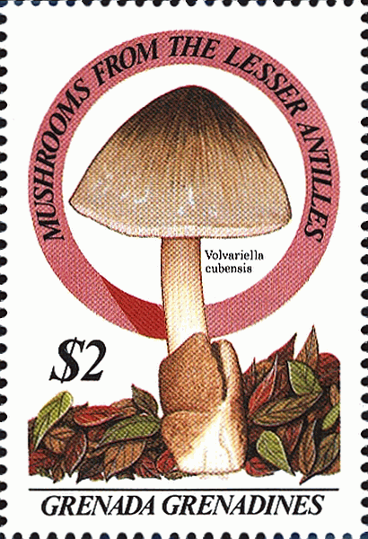 Briefmarke