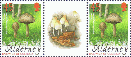 Zusammendruck