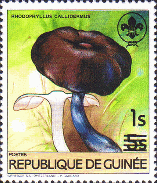 Briefmarke