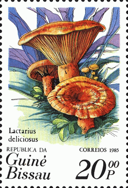Briefmarke
