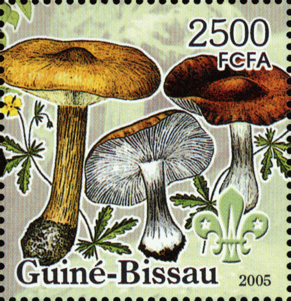 Briefmarke