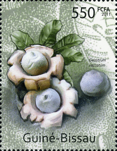 Briefmarke