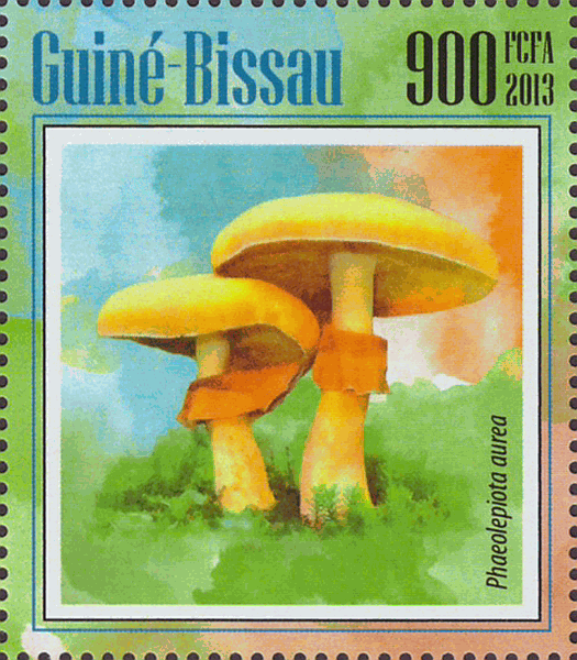 Briefmarke